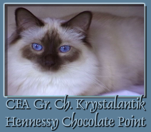 Krystalantik Hennessy