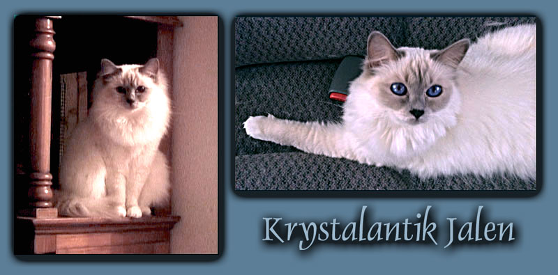 Krystalantik Jalen