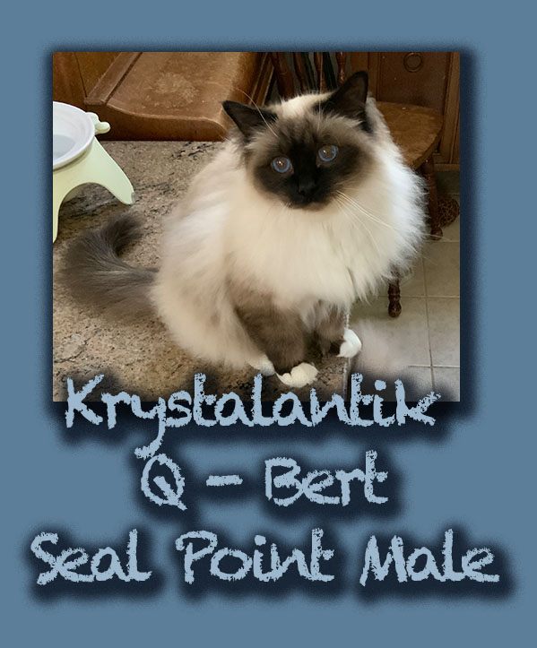 Krystalantik Q_Bert