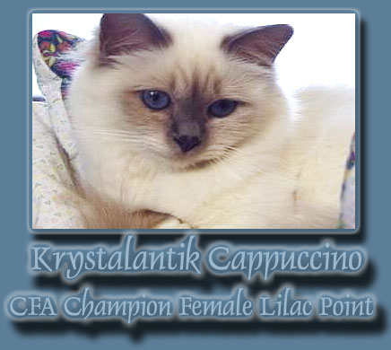 Krystalantik Cappuccino