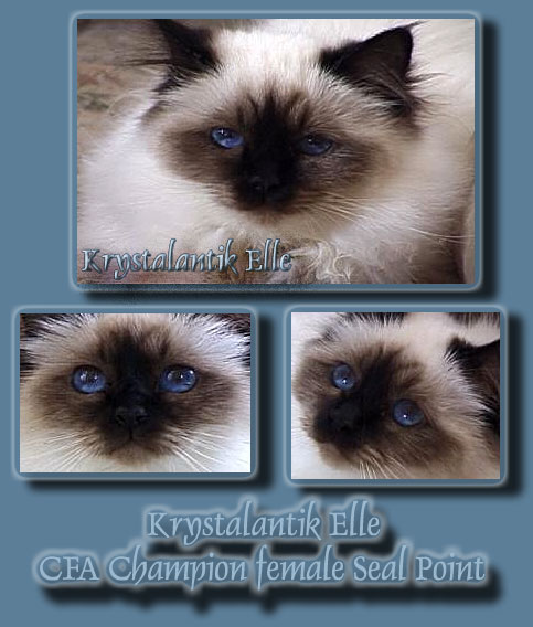 Krystalantik Elle